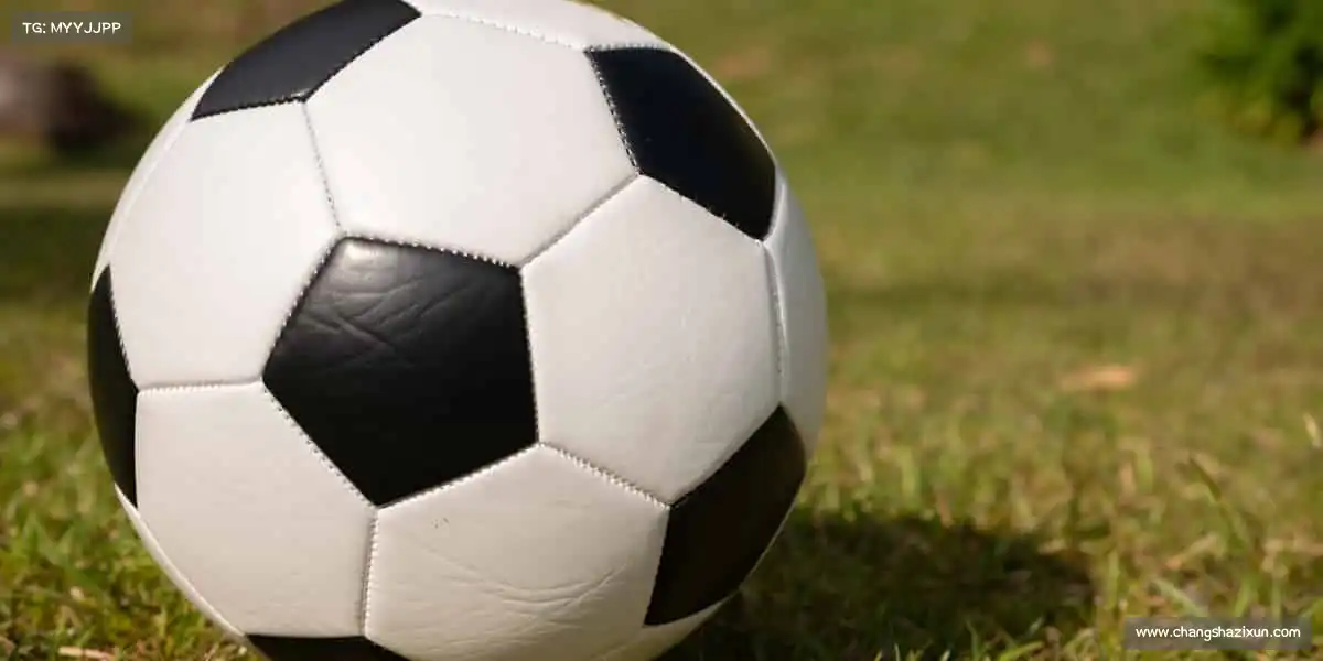 为什么选择我们